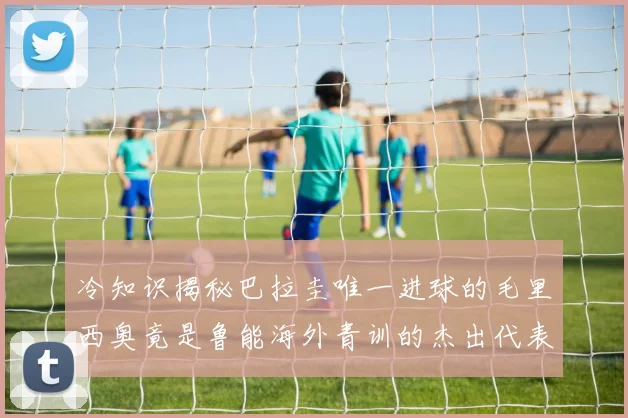 冷知识揭秘巴拉圭唯一进球的毛里西奥竟是鲁能海外青训的杰出代表